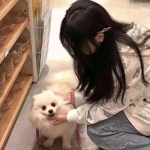 酒价内参3月25日价格发布 飞天茅台上涨3元/瓶，渠道报价小幅抬升